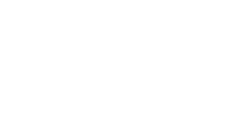Lucca Consult